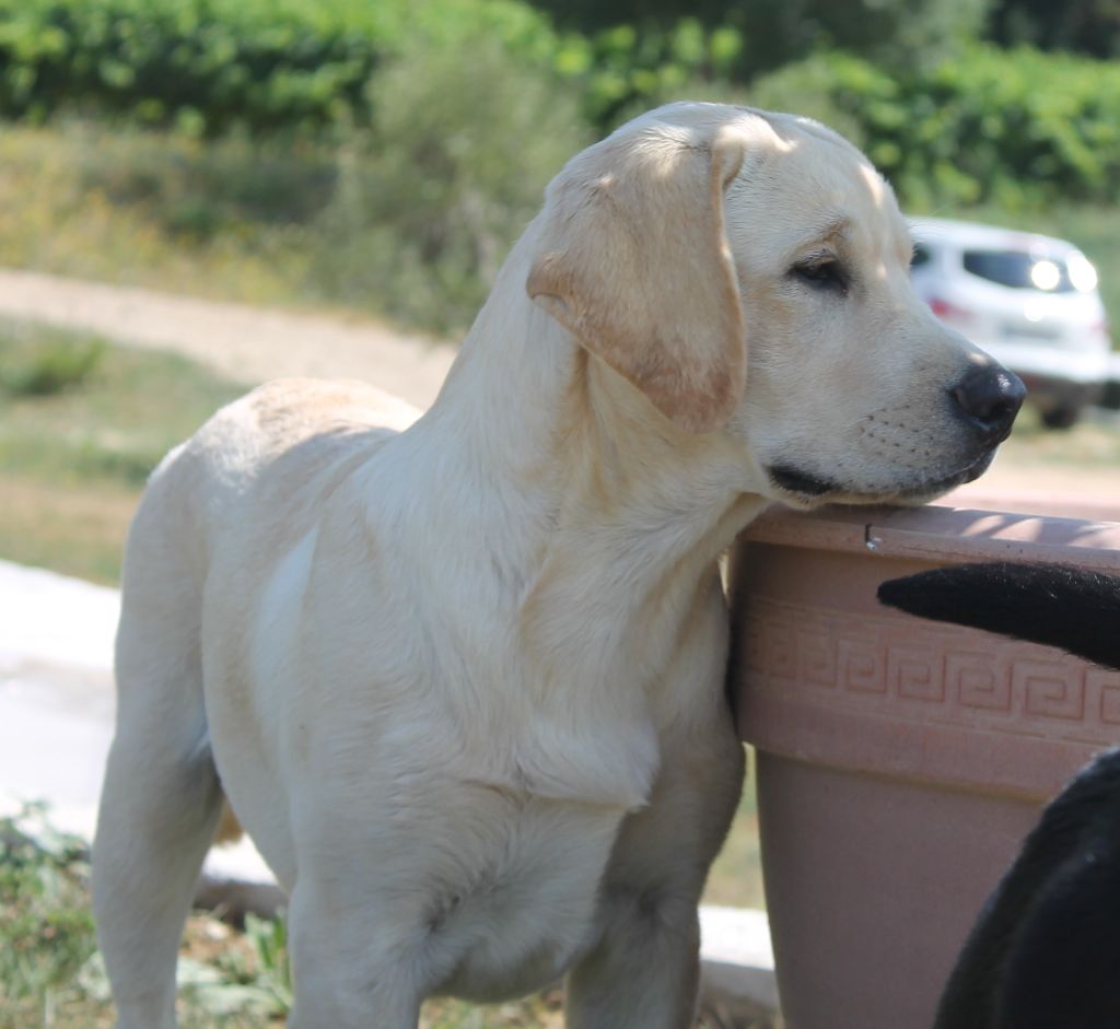 Ooper du puits de chanteins